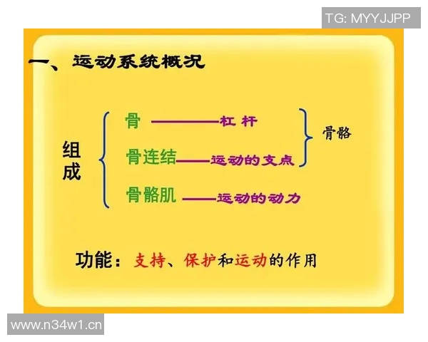 以体球为中心探讨运动科学的前沿发展及其对健康管理的深远影响